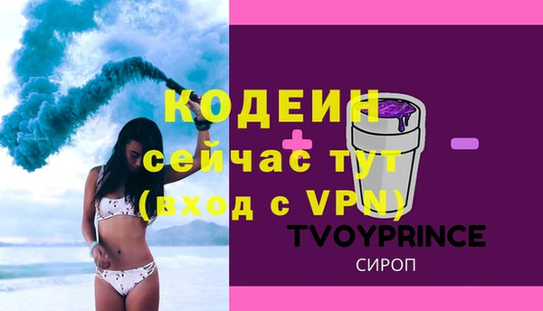 шишки Дмитровск