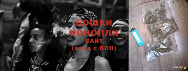 метадон Ельня