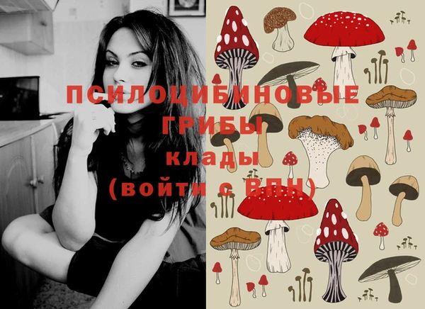 шишки Дмитровск