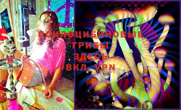 шишки Дмитровск