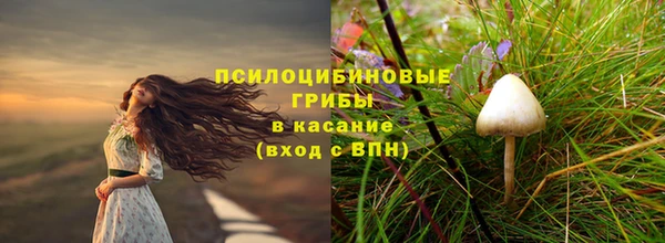 ECSTASY Елабуга