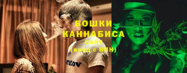 шишки Дмитровск