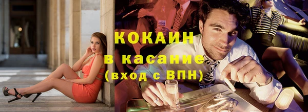 шишки Дмитровск