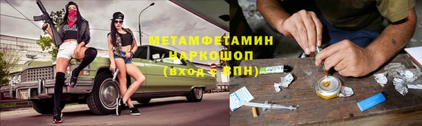 шишки Дмитровск